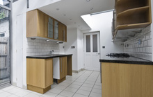 Llanwnnen kitchen extension leads
